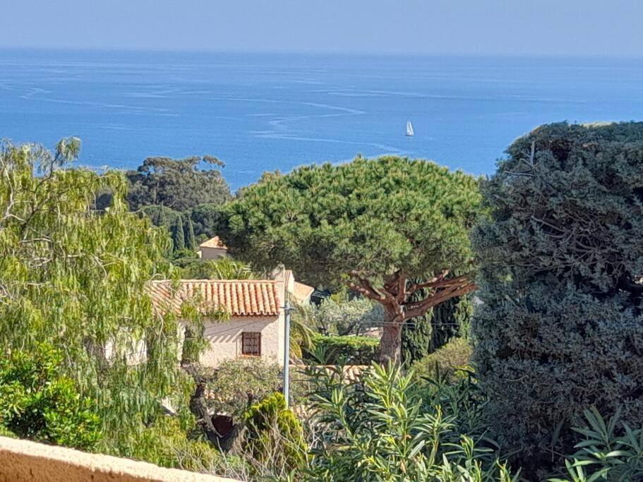 4-Star Private Villa With Heated Pool And Panoramic Sea View At Gulf De Saint Tropez Cavalaire-sur-Mer Eksteriør billede